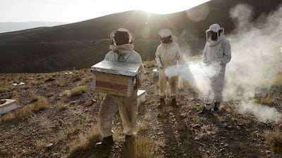 A beekeeper carries a hive as another holds a smokepot, in the mountains of Ait Attou Moussa, in Morocco's central Tinghir Province in the Atlas Mountain range, on August 29, 2025. (Photo by Abdel Majid BZIOUAT / AFP)