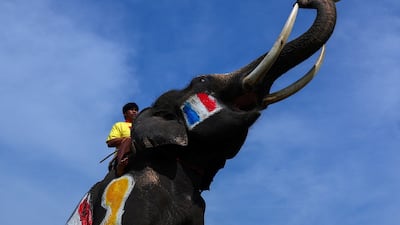 An elephant painted with French national flags plays football with students in Ayutthaya province, Thailand. Reuters