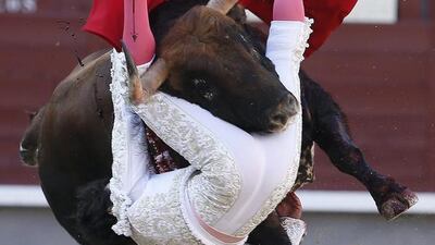 Spanish bullfighter Miguel Abellan is tossed by a bull during a bullfight on the 20th day of the San Isidro bullfighting festival at Las Ventas bullring in Madrid, Spain. Juanjo Martin / EPA