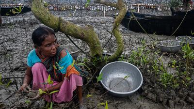 Highly Commended, Mangroves & Humans, Sankhadeep Banerjee, India. Photo: Sankhadeep Banerjee / Mangrove Photography Awards