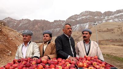 1001 Apples is about five men who buy 1,001 apples and give them to those who lost family members in the 1988 Al-Anfal Campaign, which saw Kurds in Iraq killed and buried in mass graves. Courtesy AvA Media