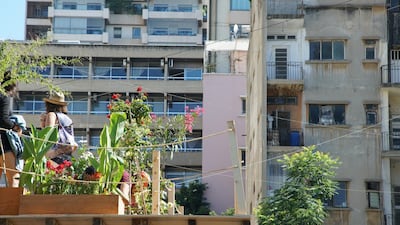 Urban Hives is an installation by local designer Nathalie Harb, who is addressing the lack of green space in the city with an innovative design capable of transforming car parks into community gardens – without reducing parking spaces.