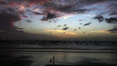 A tourist walks his dog along a beach in the bay of San Juan del Sur in Nicaragua. Oswaldo Rivas / Reuters