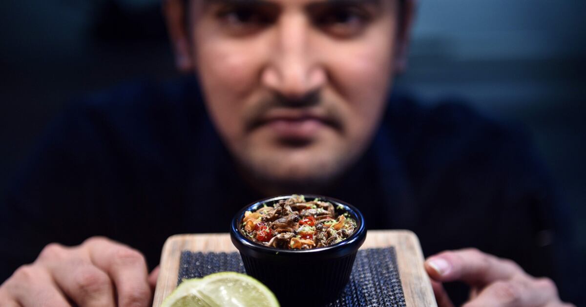 Cockroach Rosated Roasted cockroach for dinner? Insects creep onto menus of Australian ...