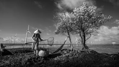 Highly Commended, Mangroves & Humans, Hoang The Nhiem, Vietnam. Photo: Hoang The Nhiem / Mangrove Photography Awards
