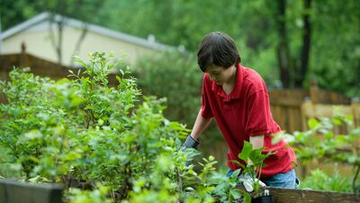 Gardening requires people to use their non-dominant hand, which is a good physical and cerebral exercise. Photo: CDC / Unsplash