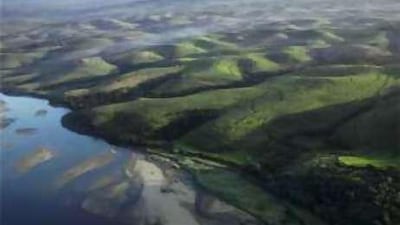 Amazulu World will transform 16,500 hectares in South Africa.