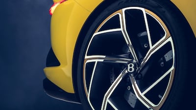 The Bacalar's rear wheel.