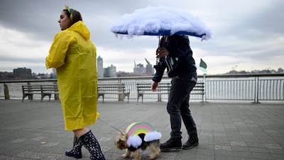 A dog dressed in a rainbow costume attends the Tompkins Square Halloween Dog Parade in Manhattan in New York City. AFP