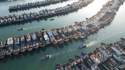 Vessels anchored at the port as Typhoon Podul approaches in Xiamen, south-east China. EPA
