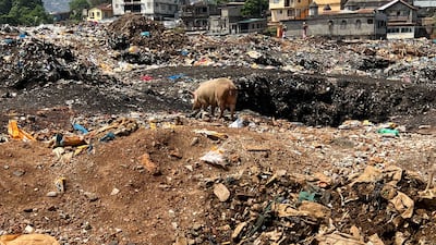 Kolleh Town landfill centre in Sierra Leone - home to more than 2,000 residents that mine the site for recyclable materials. Andy Scott / The National