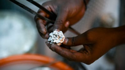 The gold tree is rigorously cleaned with water and steam to remove all traces of plaster.