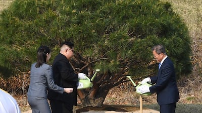 North Korea's leader Kim Jong Un (2nd L) and South Korea's President Moon Jae-in (R) participate in a tree-planting ceremony next to the Military Demarcation Line that forms the border between the two Koreas at the truce village of Panmunjom. North Korean leader Kim Jong Un and the South's President Moon Jae-in sat down to a historic summit on April 27 after shaking hands over the Military Demarcation Line that divides their countries in a gesture laden with symbolism. AFP PHOTO / Korea Summit Press Pool
