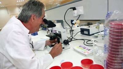 Dr Ulrich Wernery, the Central Veterinary Research Laboratory's director, says there has been "a big increase in awareness" about the bacterium since The National's article in February.