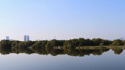 About 75 per cent of the UAE’s 450 species of birds can be found in Abu Dhabi, and about 40 or 50 of these can be seen in the mangroves.