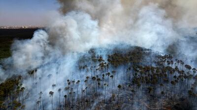 Smoke rises as fires spread through the Brasilia National Forest, Brazil, in the middle of the dry season. AP
