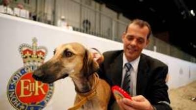 Barq, seen with Thilo Waber, a handler, won the top prize in his category and is owned by Matar Al Rumaithi.