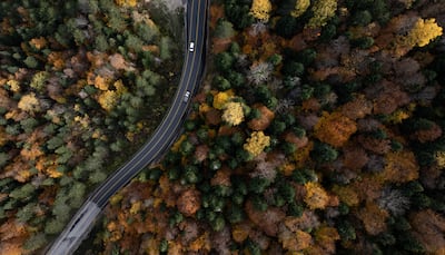 Forests made up of diverse tree species take on varying shades of brown, yellow, orange and green during autumn in Karabuk, Turkey. AFP