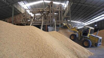 A worker drives a tractor to scoop rice grains at a mill in Suphan Buri. Thailand is in battle to offload grain from around 18 million tonnes in national stocks after an audit noted that 70 per cent is deteriorating and another fifth is inedible. Chaiwat Subprasom / Reuters