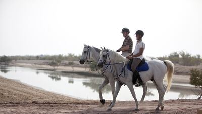 Riders at the Sir Bani Yas Stables, which are based on Sir Bani Yas Island. Silvia Razgova / The National