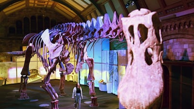 A Natural History Museum staff member walks beneath a cast of a Titanosaur at the 'Titanosaur: Life as the biggest dinosaur' exhibit at the Natural History Museum in London, Britain, 28 March 2023 (issued 29 March 2023). The exhibit, which runs from 31 March 2023 to 07 January 2024, gives visitors the first look at the Patagotitan mayorum, the most complete giant dinosaur ever discovered. EPA / ANDY RAIN
