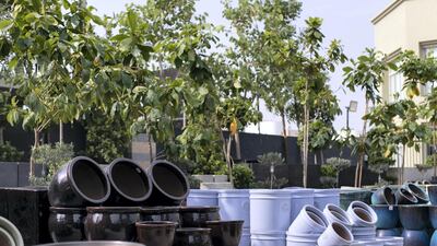 Find an array of plant pots at the newly opened Dubai Garden Center in Jumeira 1. Reem Mohammed / The National