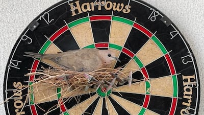 As is typical with this breed, they often nest on and around houses and surrounding structures.