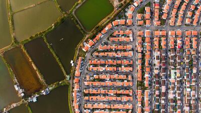 Farms next to a residential estate in Hong Kong.