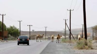 There have been some developments in recent years in towns such as Kadra, above.