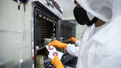 A team of scientists at a laboratory in Abu Dhabi tests hundreds of thousands of samples from the Emirate.