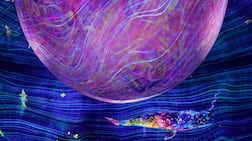 TeamLab Phenomena spans 17,000-square-metre and is a multi-sensory experience. Antonie Robertson / The National