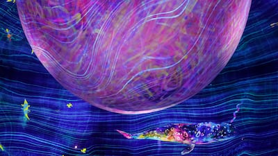 TeamLab Phenomena spans 17,000-square-metre and is a multi-sensory experience. Antonie Robertson / The National