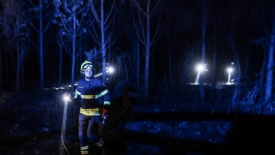 Austrian firefighters help to extinguish a fire in a forest of South Gironde, near Belin-Beliet, in south-western France. AFP