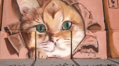 A cat by Malak Gallery.