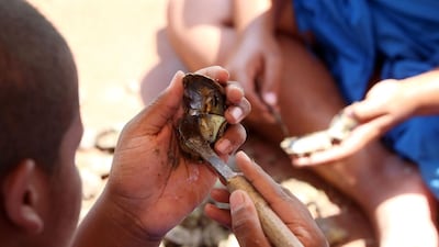 A Kuwaiti diver searches for shells containing pearls during the annual pearl diving season off the coast of the port city of Khairan. AFP