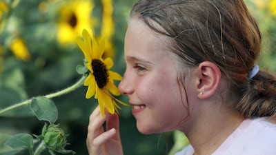 A young visitor enjoys a floral display