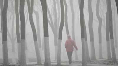 The red alert came a week after thick grey smog shrouded Beijing, cutting visibility severely and sending PM 2.5 levels as high as 634 micrograms per cubic metre. Reuters
