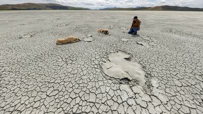 VAN, TURKEY - JUNE 7: A view of Akgol, in Ozalp district of Van province of Turkey on June 7, 2021. Due to the drying up of Akgol, the "bird paradise", which covers an area of 407 hectares in Ozalp district of Van, the bird species living in the region had to migrate to alternate lakes. Akgol which is fed by rain and snow waters was adversely affected by the drought that was effective this year. With the start of the migration season, the lake, which hosts thousands of birds of tens of species every year, has dried up due to global warming, lack of precipitation and rapid evaporation. (Photo by Ozkan Bilgin/Anadolu Agency via Getty Images)