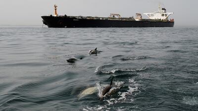 Dolphins swim in front of the Iranian oil tanker Grace 1 as it sits anchored off Gibraltar after being seized earlier this month by British Royal Marines. Reuters