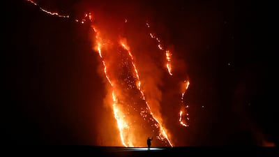 Giant flames rage during a wildfire in a national park in Probolinggo, Indonesia. Reuters