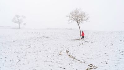 Yawar Abbas, Pakistan, winner, National Awards, Sony World Photography Awards 2023