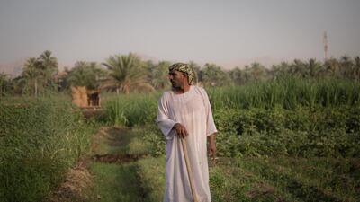 A farmer stands in a field in the village of El-Boghdadi, near Luxor, Egypt. Global warming is a huge issue for Egypt, where agriculture provides an estimated 28 per cent of all jobs. Bloomberg