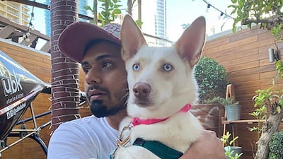 Albi, with owner Kareem Kerry, died after she was left in a car for seven hours by a dog daycare handler