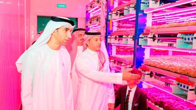 Dr Thani bin Ahmed Al Zeyoudi, UAE Minister of Climate Change and Environment, officially inaugurated Badia Farms, the GCC’s first commercial vertical farm. Courtesy Badia Farms