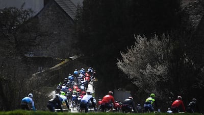 The peloton ride during stage two of the 78th Paris-Nice cycling race between Chevreuse and Chalette-sur-Loing. AFP
