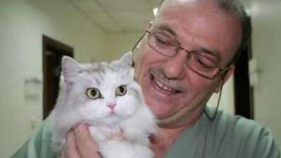 Dr Maged Elhayek says police "are trying to stop people from buying cats and dogs so they wouldn't act like a westernised nation".