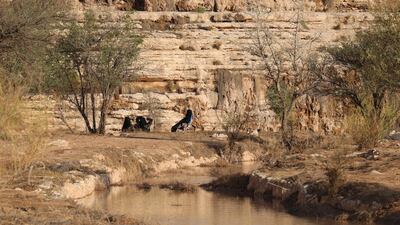 Saudi Arabia will host the Cop16 UN conference on land degradation and desertification, as the top oil exporter pitches itself as an environmental defender. AFP