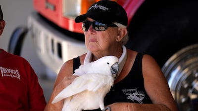 Ms Bailey waits to be moved off the island with her cockatoo. AP