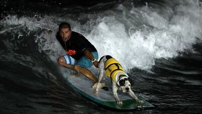 A surfer and his pet perform a manoeuvre during the night surfing exhibition at the World Qualifying Series in San Bartolo, Peru. Ernesto Arias / EPA