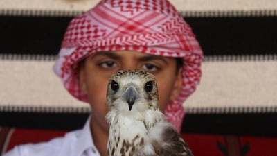 A boy holds a falcon during Qatar International Falcons and Hunting Festival at Sealine desert, Qatar. The participants at the contest compete for the fastest falcon at attacking its prey. Naseem Zeitoon / Reuters